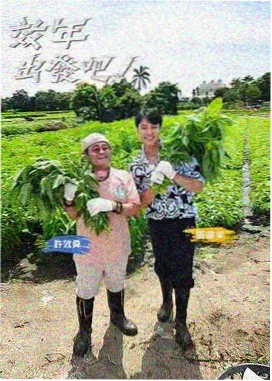 黑色四叶草 新剧场版 制作决定
